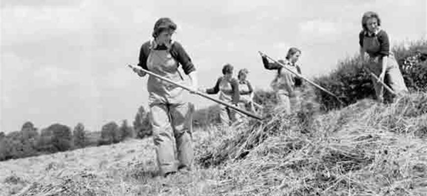 WWII---Women's-Land-Army---.jpg