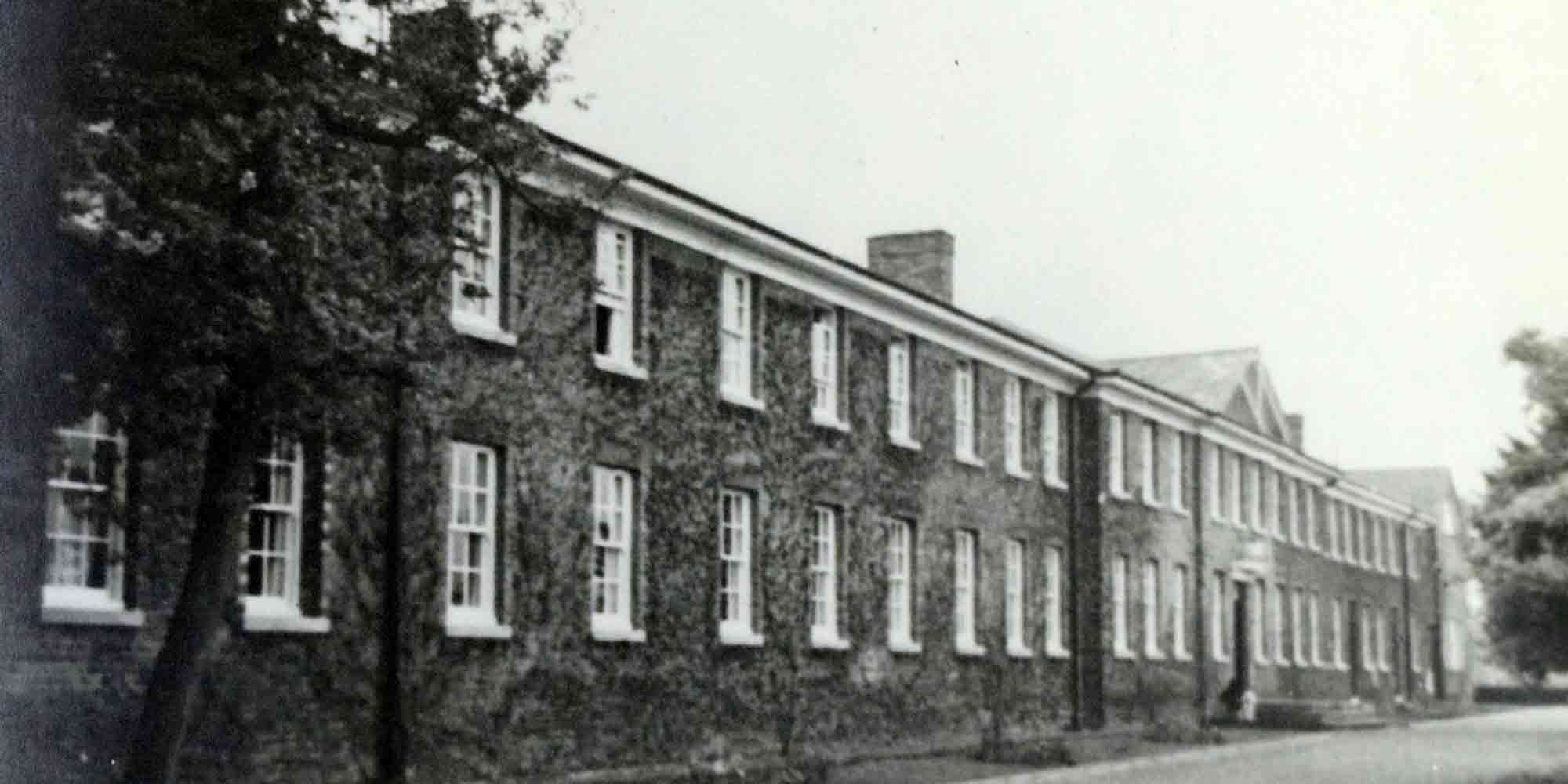 Website background image