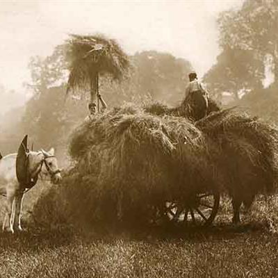 Farming