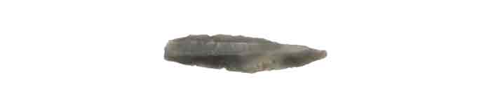 The Mesolithic period