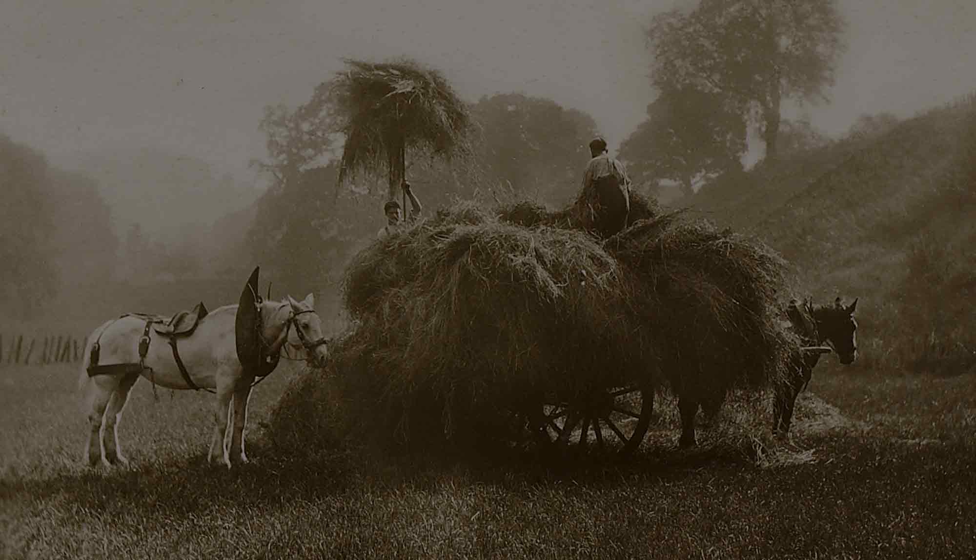 Website background image