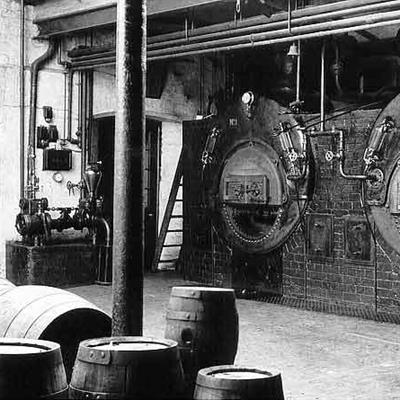 The brewing industry